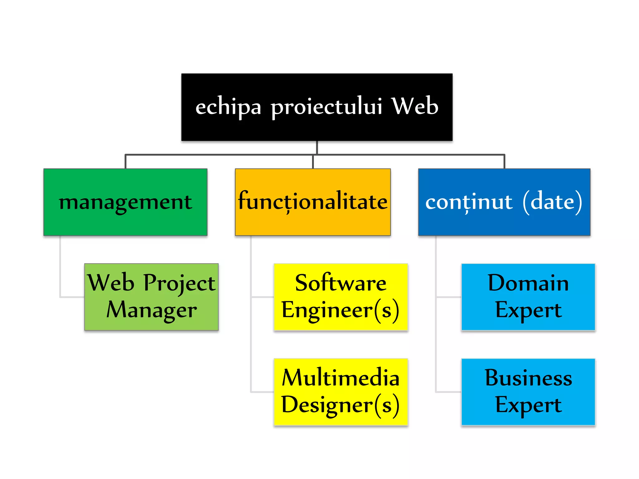 Dr. Sabin-Corneliu Buraga – www.purl.org/net/busaco 
echipa proiectului Web 
management 
Web Project 
Manager 
funcționalitate 
Software 
Engineer(s) 
Multimedia 
Designer(s) 
conținut (date) 
Domain 
Expert 
Business 
Expert 
 