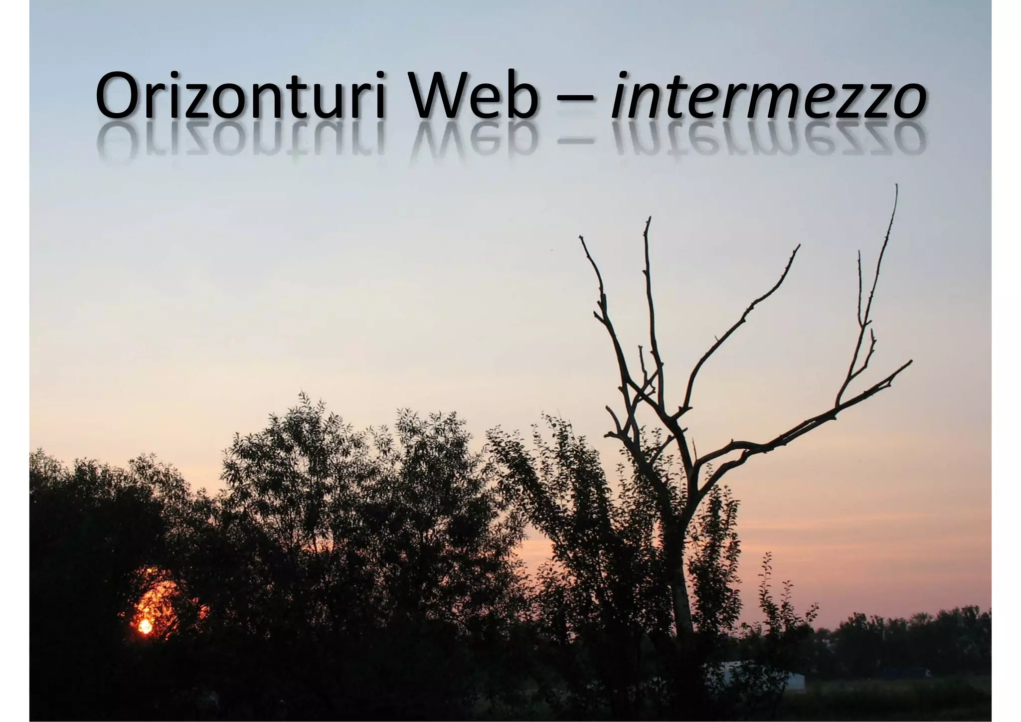 Orizonturi Web (Web Horizons)