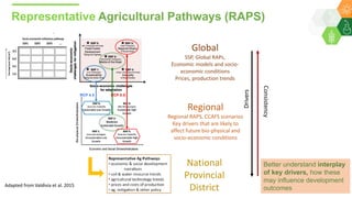 IV Global Science Conference on Climate Smart Agriculture Issues/research questions for the agriculture and food systems of 2050