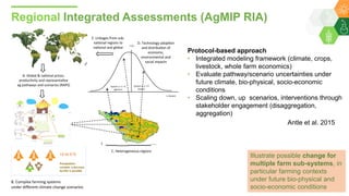 IV Global Science Conference on Climate Smart Agriculture Issues/research questions for the agriculture and food systems of 2050