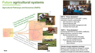 IV Global Science Conference on Climate Smart Agriculture Issues/research questions for the agriculture and food systems of 2050