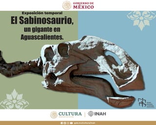 El Sabinosaurio,
un gigante en
Aguascalientes.
Exposición temporal
 