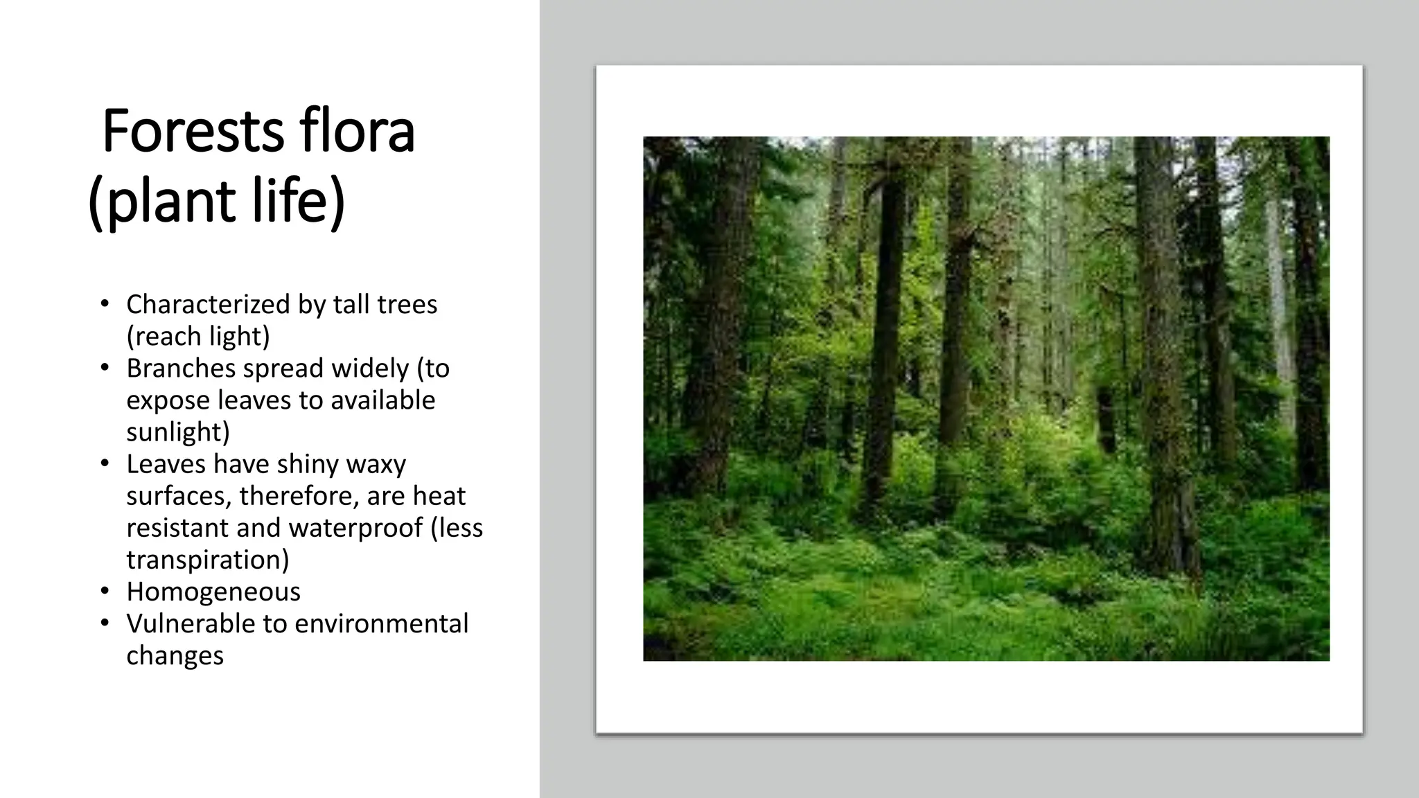 grade-10-south-african-biomes-presentation-pptx