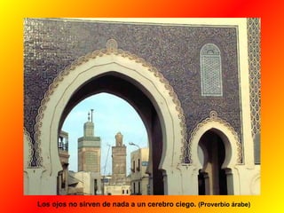 Los ojos no sirven de nada a un cerebro ciego.  (Proverbio árabe) 