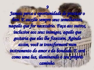 9 Jamais perca a oportunidade de praticar o bem. E auxilie sempre seus semelhantes, naquilo que for necessário. Faça aos outros, inclusive aos seus inimigos, aquilo que gostaria que eles lhe fizessem. Agindo assim, você se transformará num instrumento do amor e da bondade. E será como uma luz, iluminando o seu próprio caminho . 