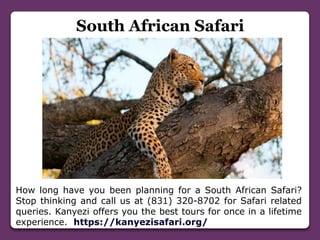South African Safari
How long have you been planning for a South African Safari?
Stop thinking and call us at (831) 320-8702 for Safari related
queries. Kanyezi offers you the best tours for once in a lifetime
experience. https://kanyezisafari.org/
 