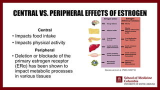 Exploring Estrogen’s Role in Metabolism and the Use of 13C-Labeled ...