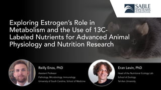 Exploring Estrogen’s Role in Metabolism and the Use of 13C-Labeled Nutrients for Advanced Animal Physiology and Nutrition Research