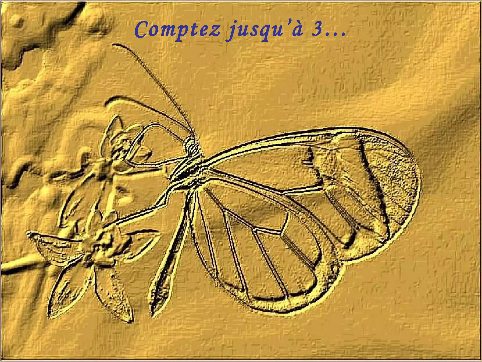 Comptez jusqu’à 3…