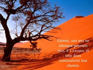 Etonné, son ami ne rétorqua pourtant rien; il s’excusa, et tous deux continuèrent leur chemin. 