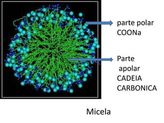 parte polar
         COONa


         Parte
         apolar
         CADEIA
         CARBONICA

Micela
 