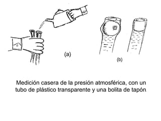 Medición casera de la presión atmosférica, con un
tubo de plástico transparente y una bolita de tapón.
 