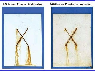 250 horas. Prueba niebla salina.   2446 horas. Prueba de prohesión.
 