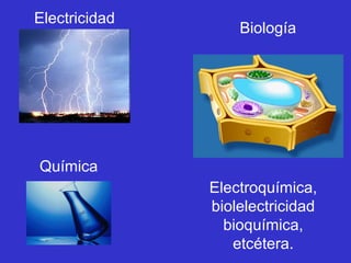 Electricidad
                   Biología




Química
               Electroquímica,
               biolelectricidad
                 bioquímica,
                  etcétera.
 