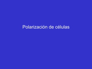 Polarización de células
 