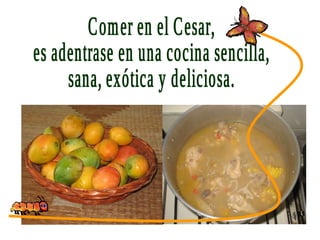 SABORES DEL CESAR Comer en el Cesar,  es adentrase en una cocina sencilla, sana, exótica y deliciosa. 