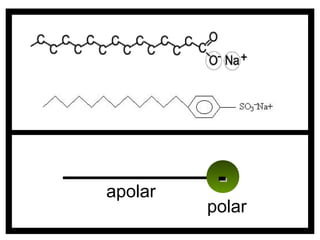 -
apolar
         polar
 