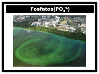 Fosfatos(PO43-)
 