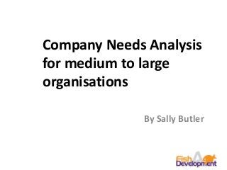 Company Needs Analysis
for medium to large
organisations
By Sally Butler
 