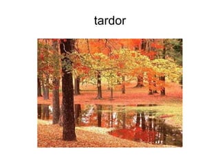 tardor 