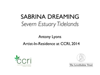 SABRINA DREAMING
Severn Estuary Tidelands
Antony Lyons
Artist-In-Residence at CCRI, 2014

 