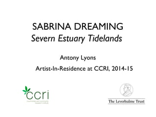 SABRINA DREAMING
Severn Estuary Tidelands
Artist-In-Residence at CCRI, 2014-15
Antony Lyons
 