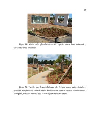 25
Figura 19 - Mudas recém plantadas na entrada. Espécies usadas foram a neomarica,
salvia mexicana e uma anual.
Figura 20 - Detalhe pista de caminhada em volta do lago, mudas recém plantadas e
coqueiros transplantados. Espécies usadas foram lantana, russelia, lavanda, jasmim amarelo,
farroupilha, brinco de princesa. Uso de rochas já existentes no terreno.
 