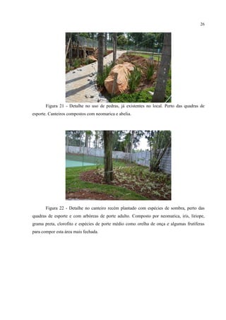 26
Figura 21 - Detalhe no uso de pedras, já existentes no local. Perto das quadras de
esporte. Canteiros compostos com neomarica e abelia.
Figura 22 - Detalhe no canteiro recém plantado com espécies de sombra, perto das
quadras de esporte e com arbóreas de porte adulto. Composto por neomarica, iris, liriope,
grama preta, clorofito e espécies de porte médio como orelha de onça e algumas frutíferas
para compor esta área mais fechada.
 