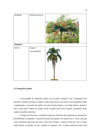 38
Sesbânia Sesbania punicea
Palmeira
Jerivá Syagrus
romanzoffiana
4.3 Fotografar jardins
A necessidade de fotografar jardins era de poder comparar com o andamento dos
mesmos e montar um banco de dados. Cada cliente possui um arquivo com fotografias desde
a implantação e execução dos jardins, de como ficaram depois e um tempo depois, quando é
feita a pós-venda. Podem ser usadas como exemplo para novos clientes, mostrando ideias
usadas em jardins anteriores.
A tiragem de fotos tem o cuidado de aparecer elementos que importam no paisagismo,
possibilitando acompanhar o desenvolvimento das plantas e do jardim em si. Fazer com que
vários elementos apareçam nas fotos, como por exemplo, o fogo de chão que com o tempo
estará incluso no jardim, ou seja, o jardim se agregará a ele. A grama entrará por baixo dos
 