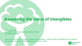 Assessing the value of intangibles
Sabrina Iavarone
Economist – Economics and Social Science Team
18th September 2019
High Level Risk Forum: Investing in infrastructure resilience - Costs, benefits and effectiveness of disaster
risk reduction measures, OECD Headquarters – Paris, France.
 