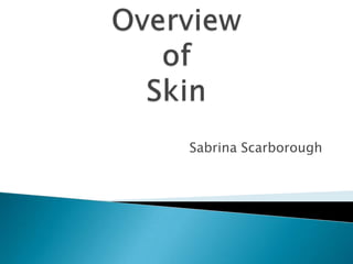 OverviewofSkin Sabrina Scarborough 