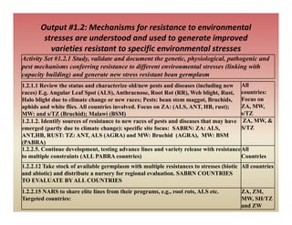 Sabrn update feb 2010 [compatibility mode]