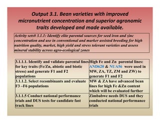 Output 3.1. Bean varieties with improved 
  micronutrient concentration and superior agronomic 
                                     p      g
         traits developed and made available.
Activity sets# 3.1.1: Identify elite parental sources for seed iron and zinc
concentration and use in conventional and marker assisted breeding for high
nutrition quality, market, high yield and stress tolerant varieties and assess
mineral stability across agro-ecological zones

3.1.1.1. Identify and validate parental lines High Fe and Zn parental lines:
for key traits (Fe/Zn, abiotic and biotic     AND620 & NUA56 were used in
stress) and generate F1 and F2                MW, ZA, TZ, ZM and ZW) to
populations                                   generate F1 and F2
3.1.1.2. Select recombinants and evaluate MW & ZA have advanced bean
F3 –F6 populations
     F6       l i                             lines for high Fe &Zn content
                                              li    f hi h F &Z
                                              which will be evaluated further
3.1.1.5 Conduct national performance          Zimbabwe needs DUS and they
trials and DUS tests for candidate fast       conducted national performance
track lines                                   trials
 