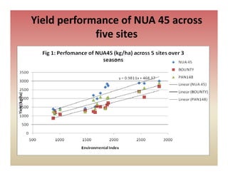 Yield performance of NUA 45 across 
             five sites
             five sites
 