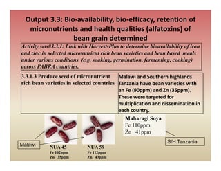 Output 3.3: Bio‐availability, bio‐efficacy, retention of 
   micronutrients and health qualities (alfatoxins) of 
                                q         (          )
                 bean grain determined
Activity sets#3.3.1: Link with Harvest-Plus to determine bioavailability of iron
and zinc in selected micronutrient rich bean varieties and bean based meals
under various conditions (e.g. soaking, germination, fermenting, cooking)
across PABRA countries.
3.3.1.3 Produce seed of micronutrient
3313P d             d f i         t i t      l       d     h    h hl d
                                          Malawi and Southern highlands 
rich bean varieties in selected countries Tanzania have bean varieties with 
                                          an Fe (90ppm) and Zn (35ppm). 
                                          These were targeted for 
                                          These were targeted for
                                          multiplication and dissemination in 
                                          each country.
                                             Maharagi Soya
                                             Fe 110ppm
                                             Zn 41ppm
                                                                 S/H Tanzania
Malawi      NUA 45           NUA 59
            Fe 102ppm        Fe 112ppm
            Zn 35ppm         Zn 43ppm
 