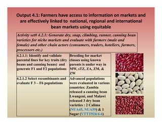 Output 4.1: Farmers have access to information on markets and 
 are effectively linked to  national, regional and international 
               y                    , g
                  bean markets using equitable 
Activity set# 4.2.1: Generate dry, snap, climbing, runner, canning bean
varieties for niche markets and evaluate with farmers (male and
   i i f       i h      k      d     l      ihf        ( l      d
female) and other chain actors (consumers, traders, hoteliers, farmers,
processors etc.)
4.2.1.1: Identify d lid t
4 2 1 1 Id tif and validate     Breeding f
                                B di for market     k t
parental lines for key traits (dry
                                classes using known
beans and canning beans) and    parents is under way in
g
generate F1 and F2 populations
                     p p        MW, sTZ, ZA, ZM, &
                                     ,     ,   ,     ,
                                ZW
4.2.1.2 Select recombinants and Advanced populations
evaluate F 3 – F6 populations   were evaluated in various
                                countries: Zambia
                                       i          i
                                released a canning bean
                                Lwangeni, and Malawi
                                released 3 dry bean
                                              y
                                varieties : 2 Calima
                                (NUA45, NUA59) & 1
                                Sugar (VTTT924/4-4)
 