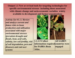Output 1.1 New or revised tools for targeting technologies for
   specific environmental stresses including those associated
   with climate change and socio-economic variables widely
     ith li t h            d   i          i      i bl    id l
       available to development and farmer organizations

Activity Set #1.1.1 Review
and analyze current and
future risks to bean
production and utilization
associated with major
environmental stresses
    i          l
(prevalent drought and
f
floods, heat, acid soils,
salinity, low soil fertility, risk   1.1.1.5 Collect      All SABRN
of soil degradation, pest and        information required countries were
diseases) and end user               for PABRA Bean         g g
                                                          engaged
systems                              Atlas.
 