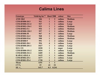 Sabrn update sept 2010 [compatibility mode]