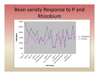 Sabrn update sept 2010 [compatibility mode]