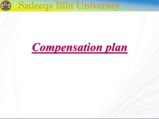 Compensation plan
 