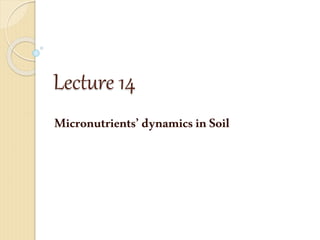 Lecture 14
Micronutrients’ dynamics inSoil
 