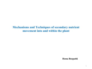 Mechanisms and Techniques of secondary nutrient
movement into and within the plant
Hema Boopathi
1
 