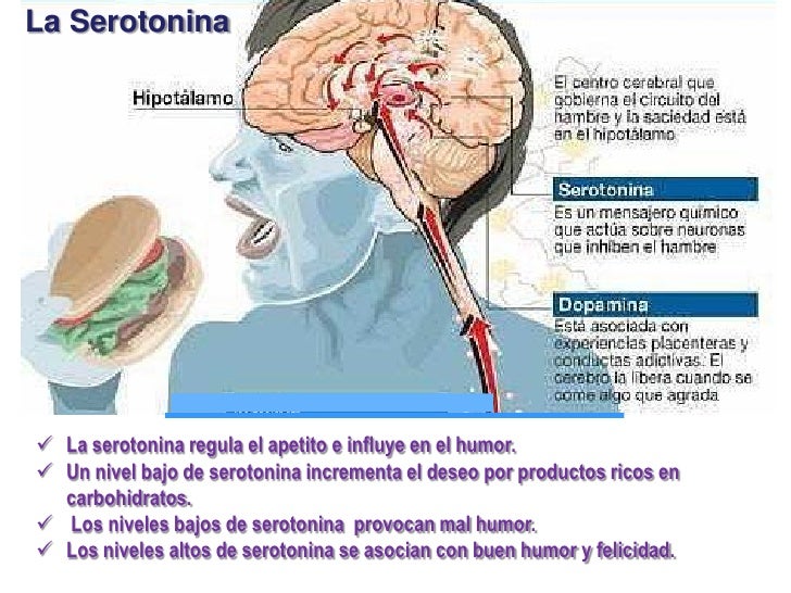 Endorfina Serotonina Dopamina Y Oxitocina Pastillas