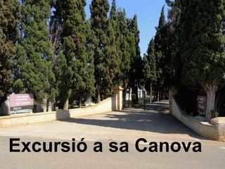 Excursió a sa Canova
 