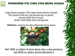 PRODURRE PIÙ CIBO CON MENO ACQUA

L’agricoltura impiega il 70% delle risorse idriche mondiali
Per produrre cibo per una persona per un girono,
servono 2000 litri di acqua*
(fonte: IFAD Water facts and figures)
Obiettivo: produrre più cibo utilizzando meno acqua

Nel 1950 un ettaro di terra dava cibo a due persone,
nel 2030 un ettaro dovrà sfamarne 5

 