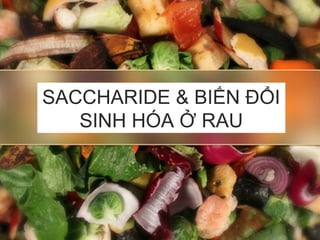 SACCHARIDE & BIẾN ĐỔI
SINH HÓA Ở RAU
 