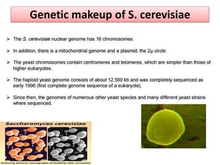 Genetic makeup of S. cerevisiae
 
