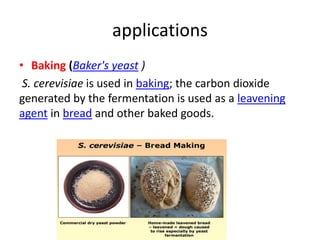 applications
• Baking (Baker's yeast )
S. cerevisiae is used in baking; the carbon dioxide
generated by the fermentation is used as a leavening
agent in bread and other baked goods.
 