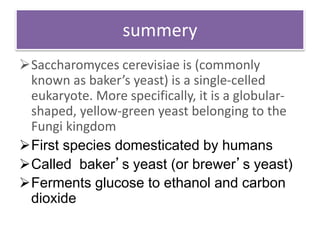 summery
Saccharomyces cerevisiae is (commonly
known as baker’s yeast) is a single-celled
eukaryote. More specifically, it is a globular-
shaped, yellow-green yeast belonging to the
Fungi kingdom
First species domesticated by humans
Called baker’s yeast (or brewer’s yeast)
Ferments glucose to ethanol and carbon
dioxide
 
