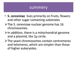 summery
• S. cerevisiae lives primarily on fruits, flowers
and other sugar containing substrates
The S. cerevisiae nuclear genome has 16
chromosomes.
In addition, there is a mitochondrial genome
and a plasmid, the 2μ circle.
The yeast chromosomes contain centromeres
and telomeres, which are simpler than those
of higher eukaryotes.
 